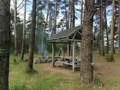 Белые бугры - 33