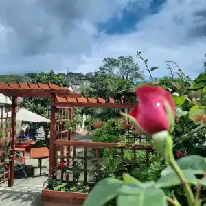 Усадьба Пантелея - 32