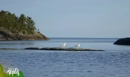 Деревня Терву - 44