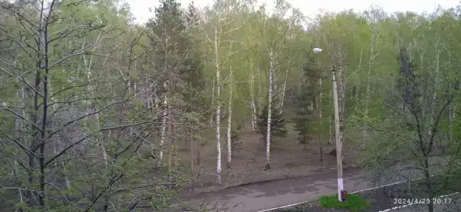 Здоровье - 19