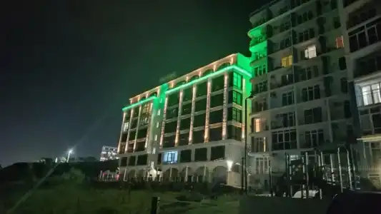 Пальма - 6
