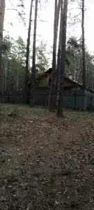 Серебряное копытце - 14
