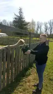 Львиный страус - 8