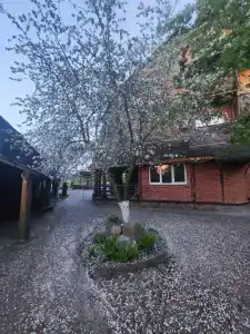 Панский сад - 76