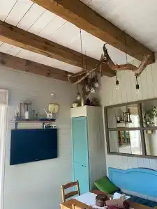 Пенеснарь - 58