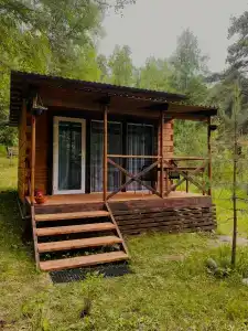 Алтай-Сосна - 0