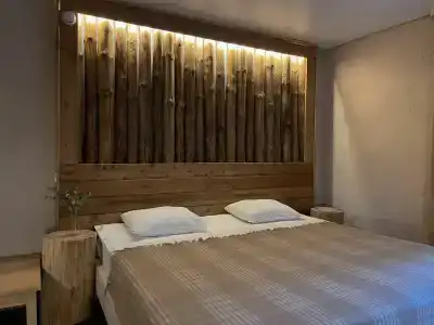 Гуси-Лебеди - 40