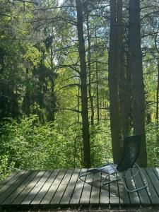 Изначальное - 51