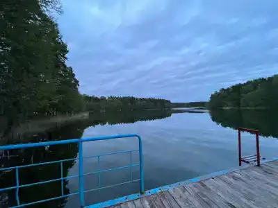 Жемчужина - 50