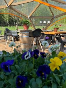 Усадьба Долгорукий - 52