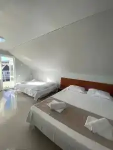 Альбатрос - 1