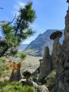 Каменные грибы - 22