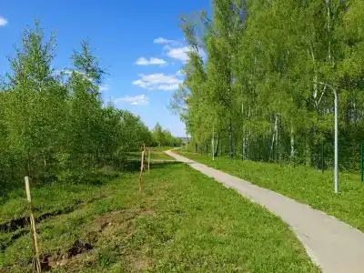 Земляничный - 67