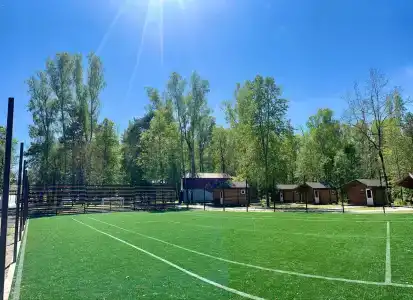Подберёзовик - 34