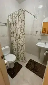 Афина - 5