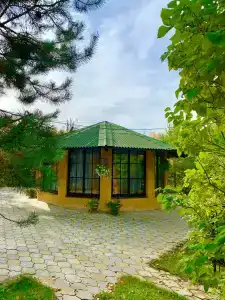 Услада - 40