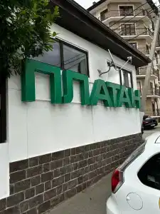 Платан - 3