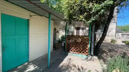 КристОля - 56