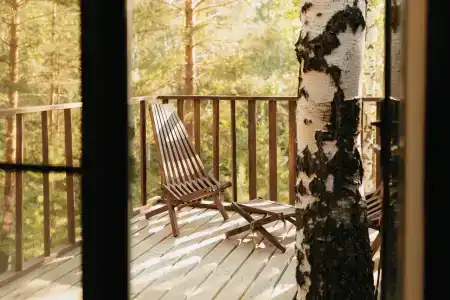 Магия леса - 96