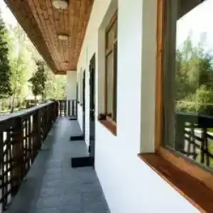 Гуси-Лебеди - 58