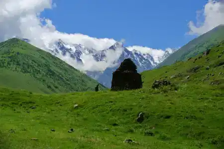 Комы-Арт - 14