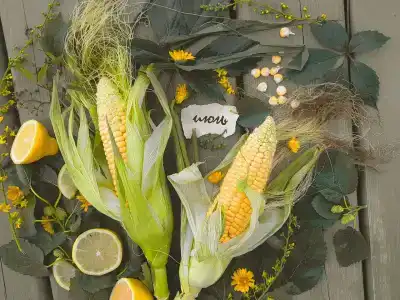 Белый Лотос - 91