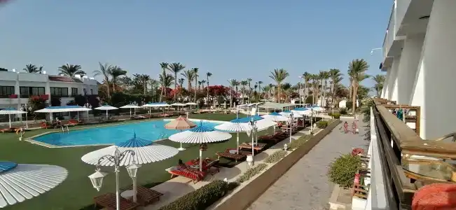 The Grand Resort - 61