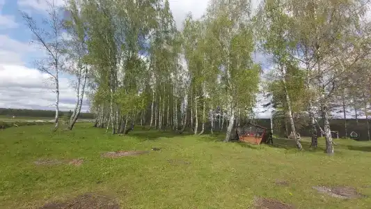 Демьян - 13