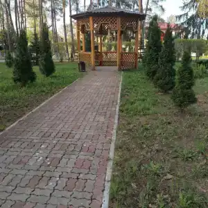 Борок - 34