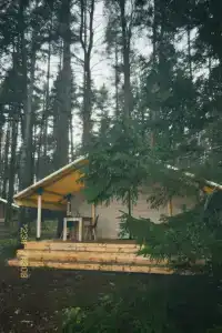 Юршино - 5