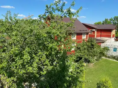 Волшебный Сад - 60