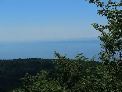Бетта - 96
