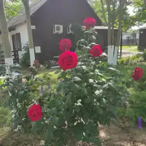 Белый Берег - 23