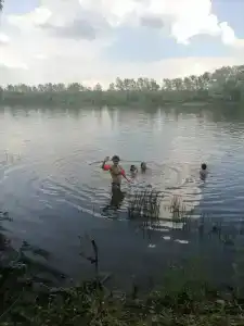Лесной Остров - 10