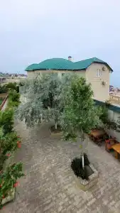 Лотос - 25