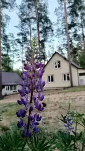 Фрегат - 23