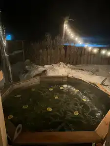 Юшут - 45