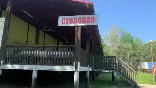 Дубовая Грива - 82