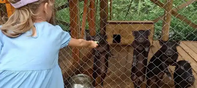 Высоковское - 69