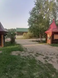 Живица - 37
