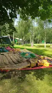 Чайка - 36
