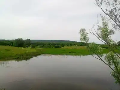 Берлога - 6