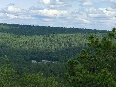 Звезда - 38