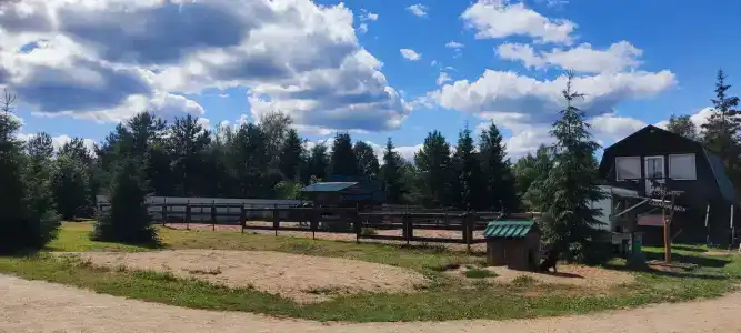 Лошадкино - 5