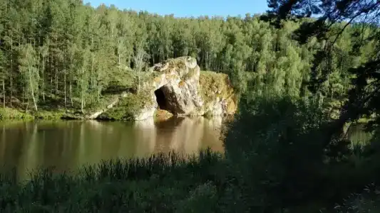 Сосновый бор - 65