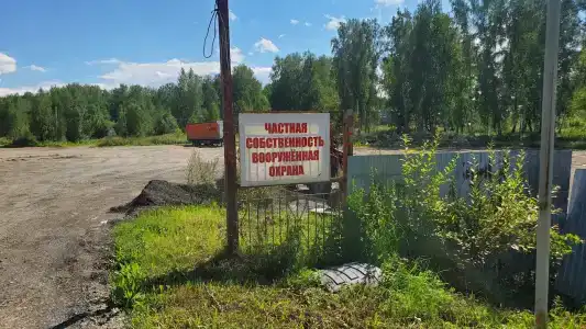 у Косолапого - 7