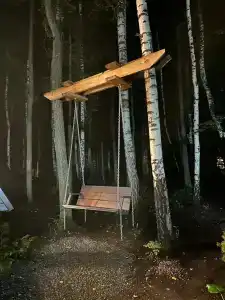 Forest story - 40