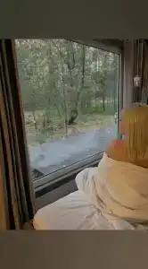 Лесотерапия - 13