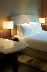 Hyatt Regency Chennai - 86