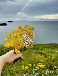 Золотые пески - 21